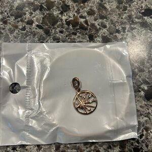 Pandora Gold Charm Bracelet